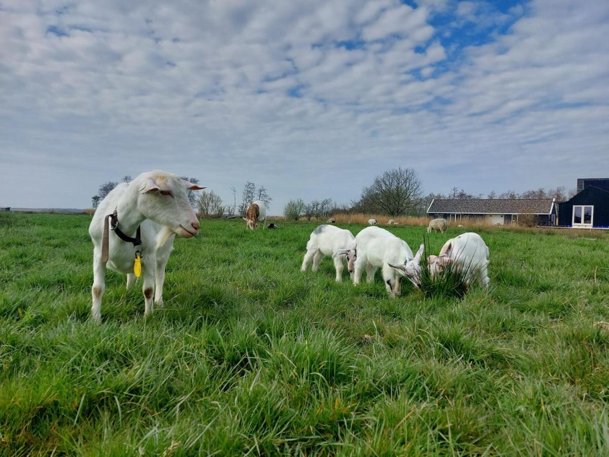 Amsterdam Countryside Met Airco ,geweldig Uitzicht, Luxe Keuken,wasmachine,droger,gratis Fietsen