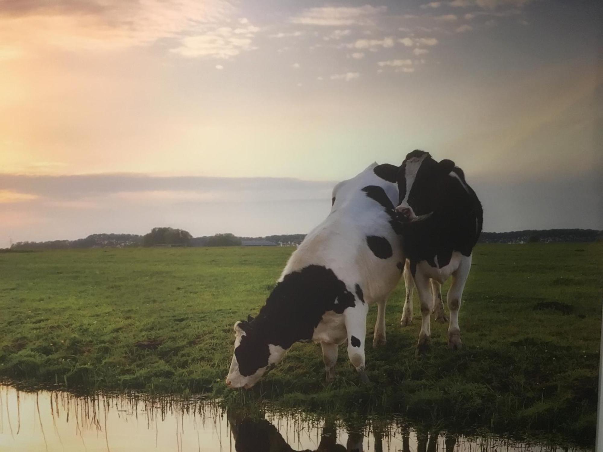 Amsterdam Countryside Met Airco ,geweldig Uitzicht, Luxe Keuken,wasmachine,droger,gratis Fietsen *